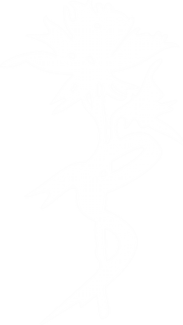 AVA logo